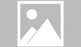 老鼠短视频下载,老鼠萌态引发下载热潮