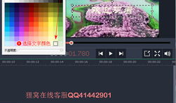 片头动画短视频制作,探秘奇幻世界之旅