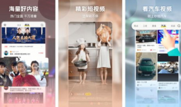 国外短视频app排行,洞察热门趋势与用户偏好